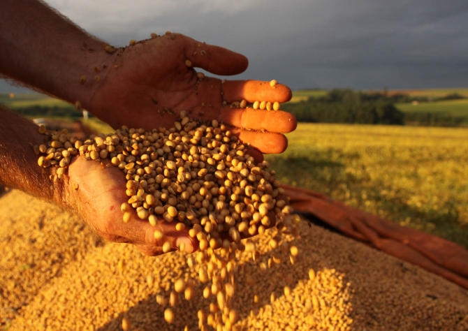 Clima reduz em 15% a safra de grãos no Paraná