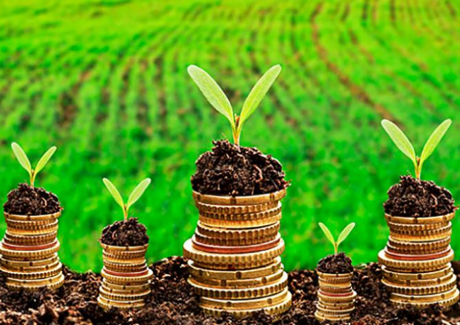 Contratação de crédito por pequenos e médios agricultores continua em crescimento na safra 2019/2020